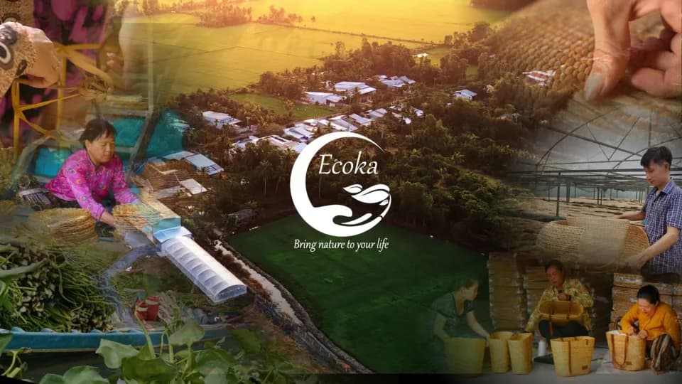 Ecoka Handicraft — Web & Commerce project